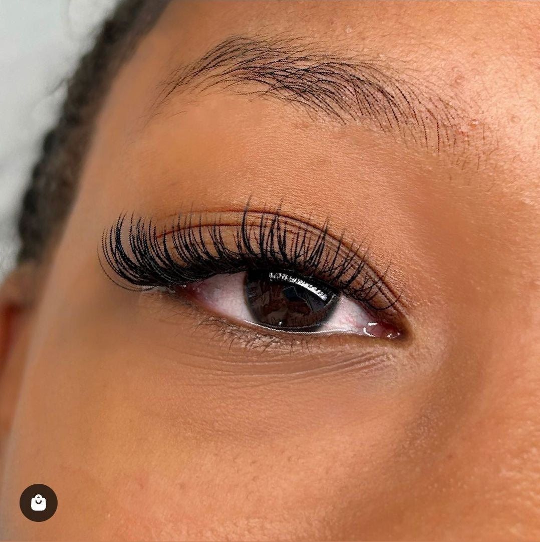 ReinaSet - Pose compléte